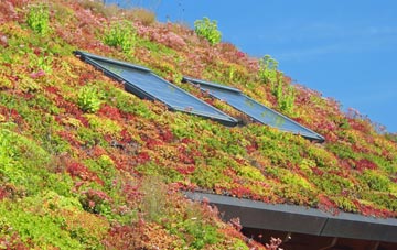 East Cranmore living roof systems