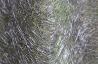 East Cranmore fibreglass roof work